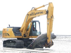 Puluhan Paus Mati Terdampar di Bangkalan, Khofifah Koordinasi dengan FKH Unair