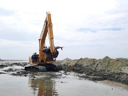Penguburan Bangkai Paus di Pantai Bangkalan Dikebut Antisipasi Air Laut Pasang