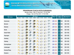 Surabaya Diprediksi Hujan Petir, BMKG Ajak Warga Waspada Genangan-Pohon Tumbang