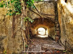 Saluran Air Peninggalan Belanda di Sukoharjo Jadi Spot Foto Menarik