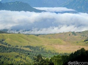 Top! Produk Lokal dari Kawasan Ijen Mau Tembus Ekspor