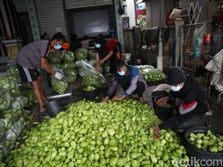 Dari Lahan 350 Ha, Gapoktan di Bandung Produksi Labu Siam 20 Ton/Hari