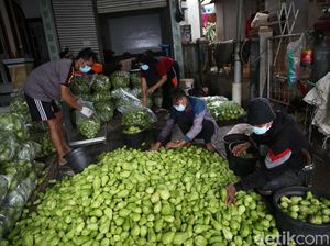 Dari Lahan 350 Ha, Gapoktan di Bandung Produksi Labu Siam 20 Ton/Hari Dari Lahan 350 Ha, Gapoktan di Bandung Produksi Labu Siam 20 Ton/Hari