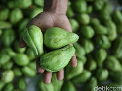 Dari Labu Jadi Rumah Miliaran Rupiah