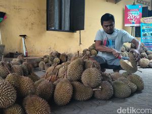Masa Pandemi Penjualan Durian Sinapeul Majalengka Naik 100 Persen Masa Pandemi Penjualan Durian Sinapeul Majalengka Naik 100 Persen