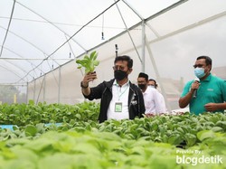 BPS Catat Ekspor Pertanian di Januari-Februari 2021 Tumbuh 8,81%