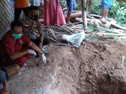 Ini Awal Mula Terungkapnya Tulang Belulang di Septic Tank Sukabumi