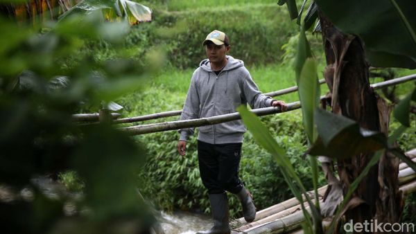 Petani Muda di Bandung Beromzet Puluhan Juta dari Jual Sayuran