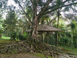 Situs Batu Tulis Cipaku, Cagar Budaya Penuh Misteri