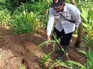 Tanah Retak Juga Ada di Kecamatan Sawahan Nganjuk, Warga Pilih Mengungsi