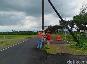Kata PLN Banyuwangi soal Tiang Listrik di Tengah Jalan yang Telan Korban Jiwa Kata PLN Banyuwangi soal Tiang Listrik di Tengah Jalan yang Telan Korban Jiwa