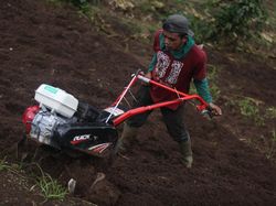 BRI Beri Alsintan & Bangun Greenhouse Paprika untuk Petani Bandung