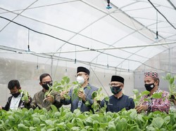 Bangun Ketahanan Pangan, BI Jabar Beri Bantuan Digital Farming ke Ponpes