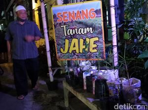 Ada Kampung Jahe di Tengah Kota Banyuwangi, ke Sana Yuk!