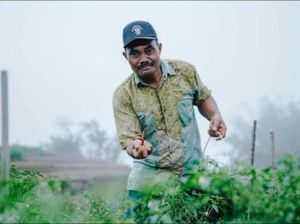 Pembatasan Pupuk Subsidi dan Peluang Pertanian Berkelanjutan Pembatasan Pupuk Subsidi dan Peluang Pertanian Berkelanjutan