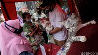 Pemeriksaan Kesehatan Gratis untuk Hewan Terdampak Banjir Jakarta