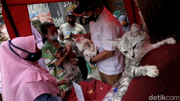 Pemeriksaan Kesehatan Gratis untuk Hewan Terdampak Banjir Jakarta