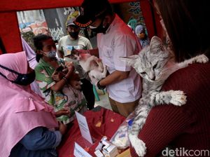 Pemeriksaan Kesehatan Gratis untuk Hewan Terdampak Banjir Jakarta