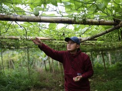 Kisah Petani Milenial Bangun Usaha dari Nol Beromzet Ratusan Juta