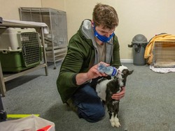 Ketimbang Tutup Permanen Gegara Pandemi, Bar Ini Jadi RS Hewan