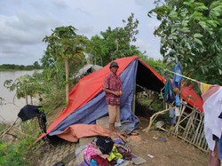 Warga Pebayuran Bekasi Ini Bertahan di Dekat Tanggul Jebol: Jaga Ternak