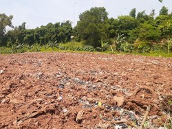 3 Dampak Pencemaran Tanah bagi Kehidupan, Apa Saja?