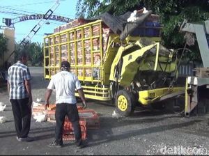 Truk Pengangkut Ayam Tabrak Tronton di Subang, Dua Orang Tewas