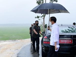 Momen Jokowi Hujan-hujan Pakai Payung Tinjau Food Estate di NTT