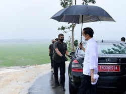 Momen Jokowi Hujan-hujan Pakai Payung Tinjau Food Estate di NTT