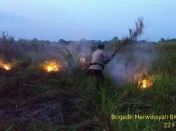 2 Hektare Lahan Bekas Karhutla di Jambi Terbakar, Dipadamkan Polri-Warga
