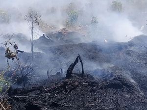 Sudah 10 Hari, Kebakaran Lahan Gambut di Sumbar Belum Padam