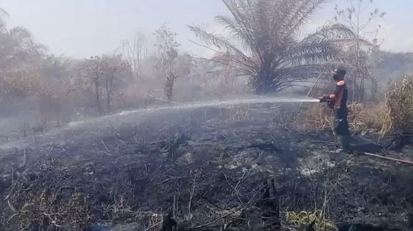 Potret Lahan Gambut di Agam Sumbar sudah 10 Hari Terbakar
