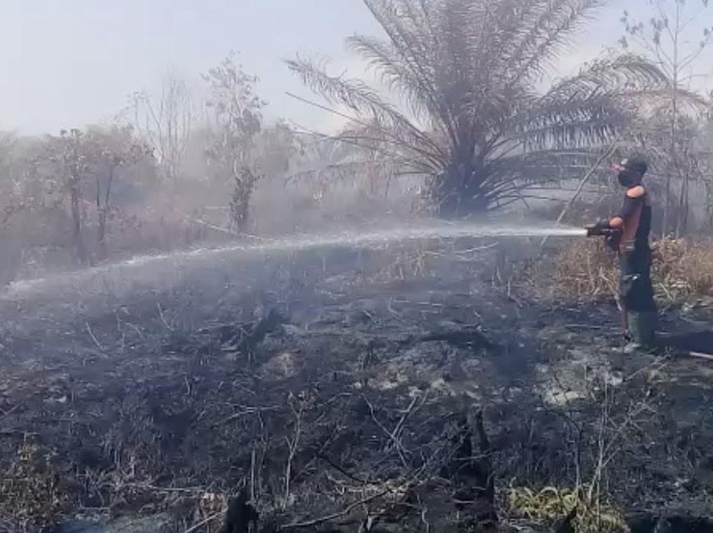 Potret Lahan Gambut di Agam Sumbar sudah 10 Hari Terbakar Potret Lahan Gambut di Agam Sumbar sudah 10 Hari Terbakar