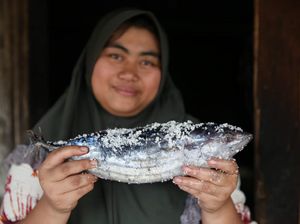Ikan Pindang Datangkan Cuan Belasan Juta Ikan Pindang Datangkan Cuan Belasan Juta