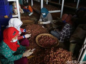 Pengupas Bawang di Bandung Dibayar Rp 40 Ribu Per Hari