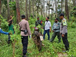 Kisah Mistis Pria di Banyuwangi soal Kakek Tua-Nenek Cantik dan 4 Harimau