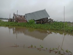 28 Rumah di Sumsel Rusak Akibat Hujan Deras Disertai Angin Kencang