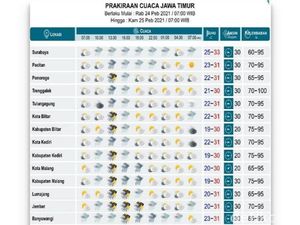 BMKG Juanda Prediksi Surabaya Diguyur Hujan Ringan Hari Ini