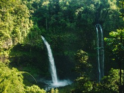 Bikin Adem, Ini 5 Curug Asri untuk Lepaskan Penat di Bogor