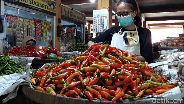 Harga Cabai Rawit di Yogyakarta Tembus Rp 90 Ribu, Kok Bisa?