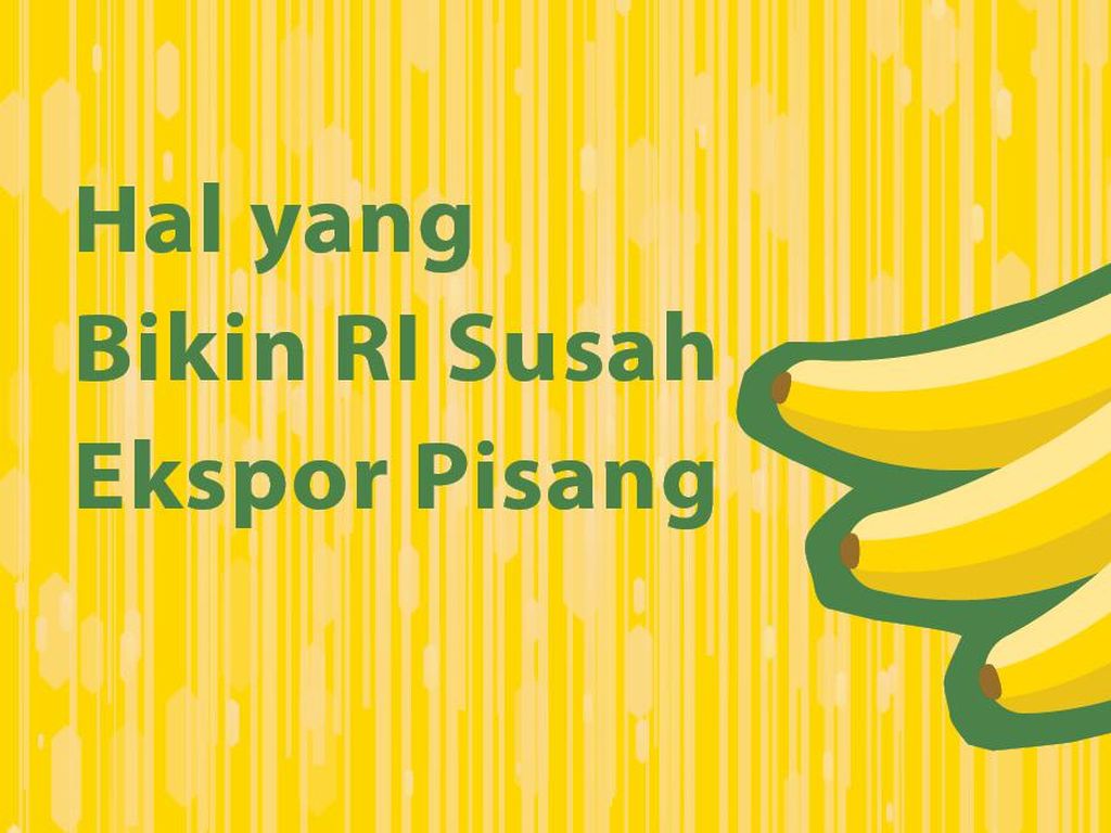 Kok Indonesia Susah Ekspor Pisang? Kok Indonesia Susah Ekspor Pisang?