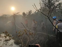 Kapolda Kepri Terjun Pimpin 7 Jam Pemadaman Karhutla di Pulau Galang