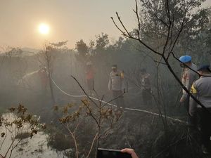 Kapolda Kepri Terjun Pimpin 7 Jam Pemadaman Karhutla di Pulau Galang