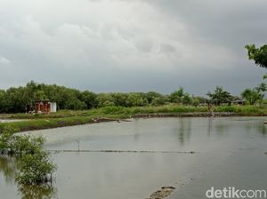 Mantul, Cirebon akan Sulap Lahan 15 Hektar Jadi Wisata