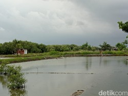 Mantul, Cirebon akan Sulap Lahan 15 Hektar Jadi Wisata