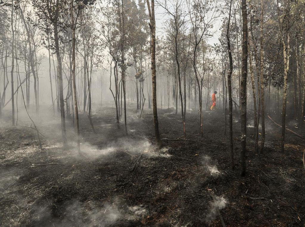Kapolri: Ada 129 Tersangka Kasus Karhutla Sepanjang 2021 Kapolri: Ada 129 Tersangka Kasus Karhutla Sepanjang 2021