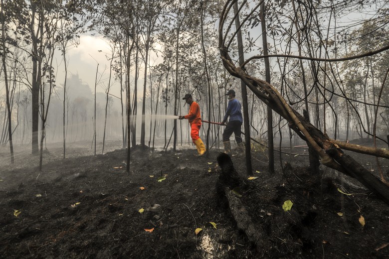 Hari Ke-10 Pemadaman Kebakaran Lahan Gambut di Riau