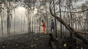 Karhutla di Riau Makin Meluas
