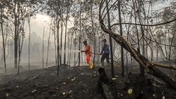 Karhutla di Riau Makin Meluas
