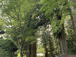 Ada Keajaiban di Kuil Nagano Jepang Ini